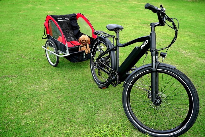 Electric Bicycle3