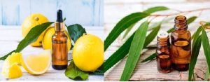 lemon and nilgiri oil