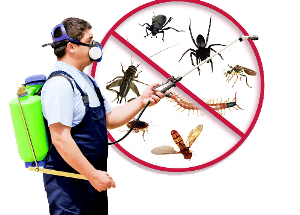 anti mosquito spry