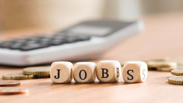 Job Search 2023-1